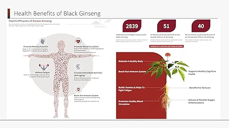 CHAMHAN BLACK GINSENG EXTRACT PREMIUM 500G (250G X 2) MADE IN KOREA